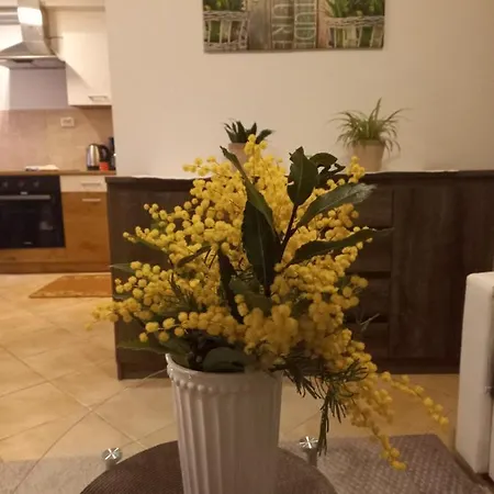 Udoban Stan Na Pecinama Apartment